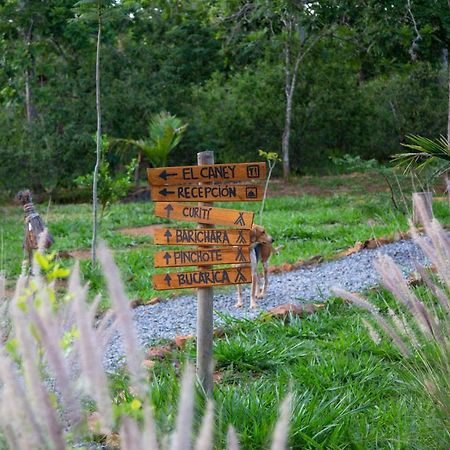 Nativo Glamping Hotel Barichara Eksteriør billede