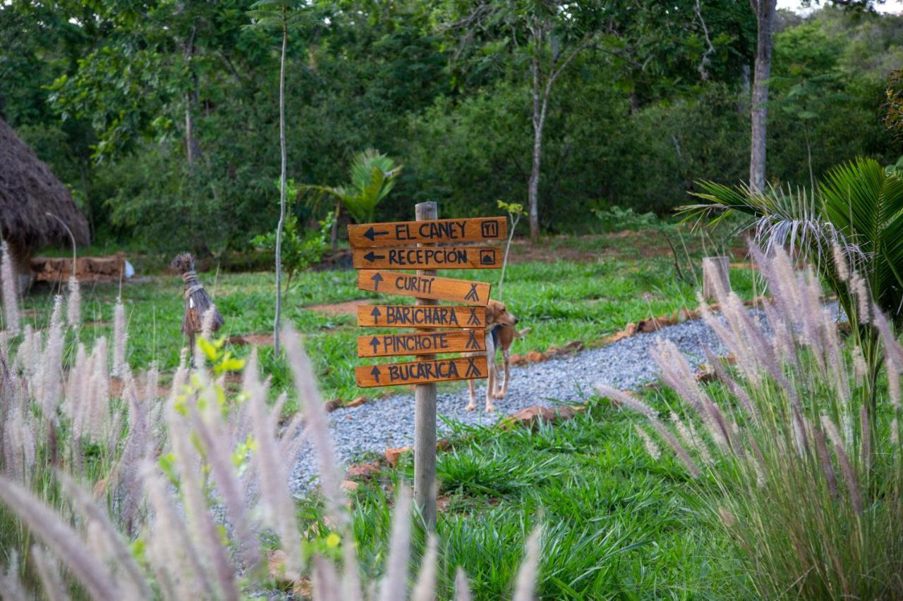 Nativo Glamping Hotel Barichara Eksteriør billede