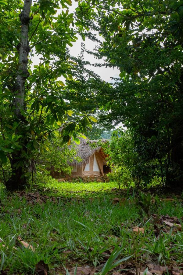 Nativo Glamping Hotel Barichara Eksteriør billede